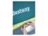 Bestway Frontcountry Cool Mount 4 kemping sátor
