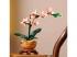 LEGO: Lego Mini orchidea (10343)
