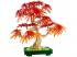 LEGO Botanicals: Vöröslevelű japán juhar bonsai (10348)