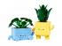 LEGO Botanicals: Mosolygós növények (10349)