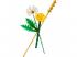 LEGO 30701 Botanicals: Mini Mezei virágok