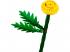 LEGO 30701 Botanicals: Mini Mezei virágok