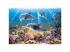 Delfinek a tengervíz alatt 500db-os puzzle - Castorland