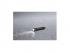 GP P8502 Discovery CK12 + 1×LR03 LED zseblámpa