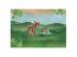 Playmobil Wiltopia: Kis őzike 71063
