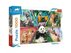 Animal Planet: Állati királyságok 1000db-os puzzle - Trefl