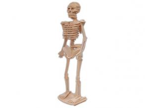 3D puzzle csontváz (natúr)
