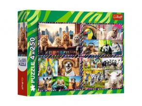 Mókás állatok 4x250 db-os puzzle - Trefl