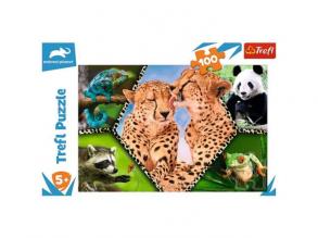 Animal Planet: Csodálatos természet 100db-os puzzle