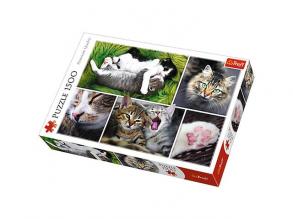 Csak amolyan macskás dolgok - collage puzzle 1500db-os - Trefl