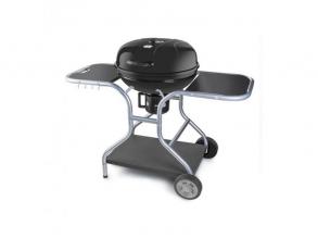 Fieldmann FZG 1014 faszenes kerti grill