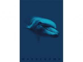 Pigna Monocromo Blue A4 tűzött 38 lapos vonalas füzet