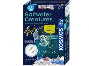 Saltwater Creatures kísérletező készlet