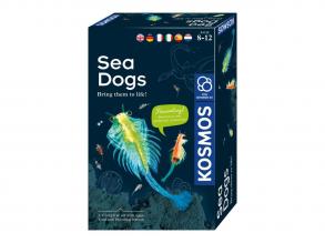 Kosmos natúr szett: tenyészthető sós garnéla