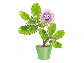 Kosmos Mimóza kert játékkészlet