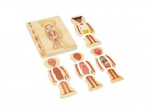 Bigjigs fa anatómiai puzzle  lány, 26 darab.