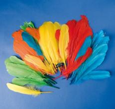 Indián tollak, 5 szín, 15 cm, 120 db - playbox