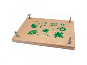 PlayBox: Növényprés fából 31,8x21,5cm