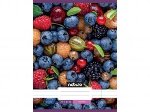 Nebulo: Tűzött vonalas gyümölcsös mintás füzet 81-32 A/4