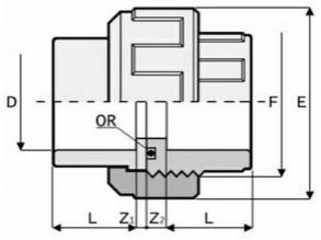 Hollandi D63