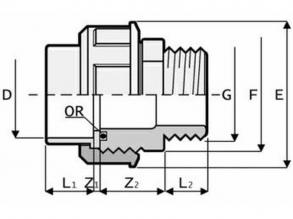 Hollandi menetes D50-1-1/2