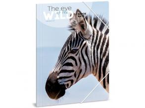 Ars Una: Máté Bence The Eyes of the Wild - Zebra A/4 gumis dosszié
