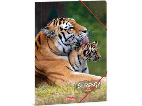 Ars Una: Serenity Tiger gumis mappa, dosszié A/4