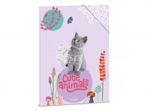 Ars Una: Cute Animal Cicás gumis mappa A4
