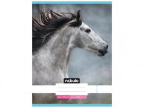 Nebulo: Szürke ló sima füzet A4 80-32