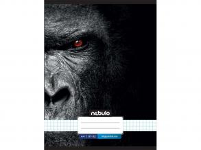Nebulo: Tűzött kockás gorilla mintás füzet 87-32 A/4