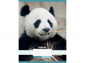 Nebulo: Tűzött kockás panda mintás füzet 87-32 A/4