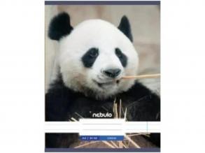 Nebulo: Panda sima füzet A4 80-32