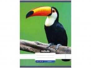 Nebulo: Tukán sima füzet A4 80-32