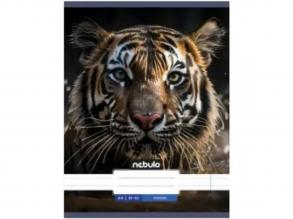 Nebulo: Tigris sima füzet A4 80-32