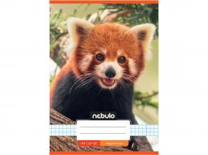 Nebulo: Tűzött vörös panda mintás kockás füzet 27-32 A/5