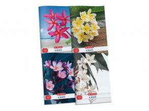Herlitz Flower A4 80-32 sima füzet