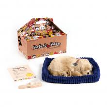 Perfect Petzzz élethű interaktív Golden Rettriver kutyus plüss, 22 cm