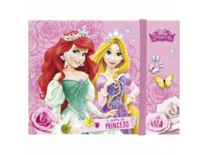 Disney hercegnők gumis napló