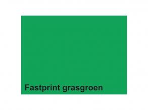 Fastprint A4 160 g fűzöld másolópapír, 50 lap