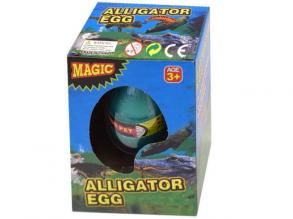 Növekvő aligátor tojásban
