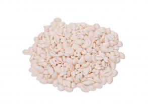 Colorations  Kauri kagylók, 300 g