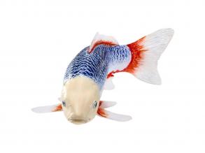 Mojo Sealife Koi-ponty  Asagi Koi  381100