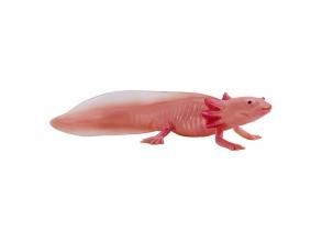 Mojo Wildlife Axolotl figura 381108