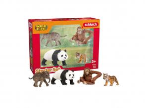 Schleich WILD LIFE: Ázsia kezdő készlet 42736