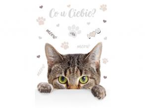 IRIS A4 irattartó mappa, különböző színekben és mintákkal, 230x315 mm