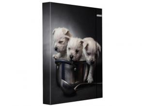 Spirit: Kiskutyusok füzetbox gumipánttal A/4-es méretben