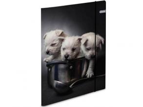 Spirit: Puppies gumis karton mappa A4-es 600g