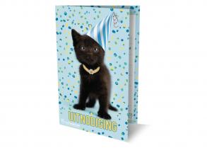 Macskás meghívók, 6 db.