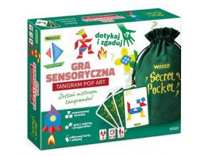 Play & Fun: Secret Pocket - Titkos zseb tangram társasjáték