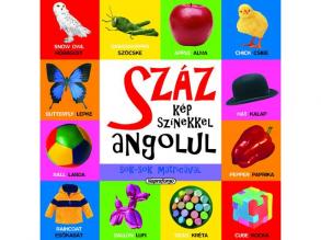 Száz kép színekkel angolul sok-sok matricával készségfejlesztő könyv